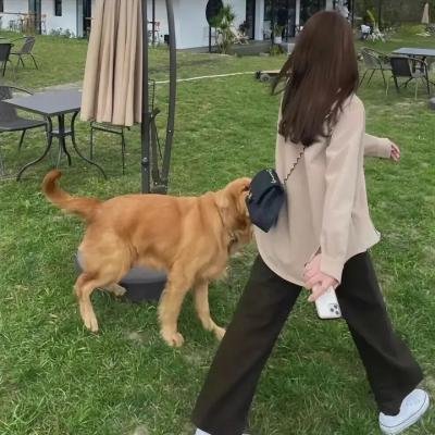 四叠半时光机