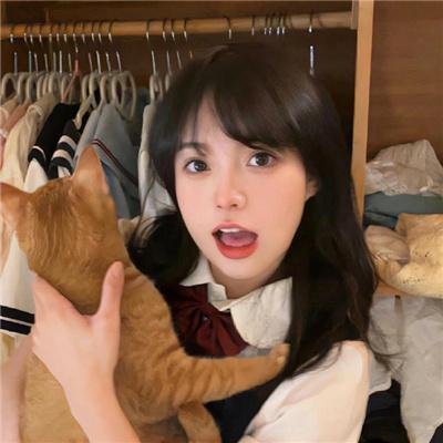 救援狗
